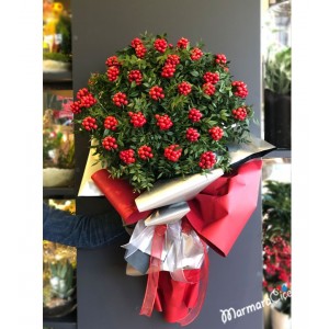 20 adetli kokina çiçeği